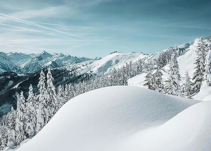 Oda ve Kahvaltı Premium Evi Kaprun